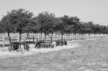 Farm - image #501131 gratis